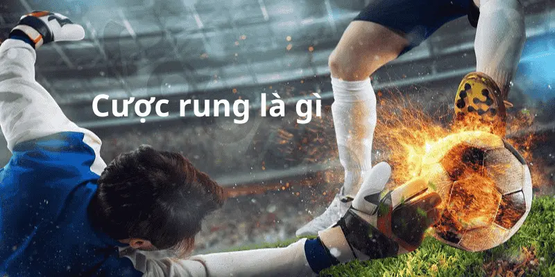 Giải thích dễ hiểu về cược rung là gì