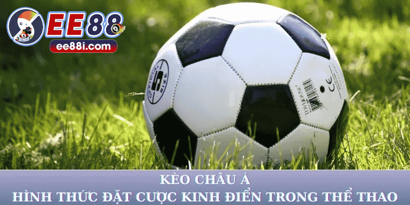 ảnh đại diện kèo châu á